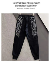 Survetement Philipp Plein Rhinestones Skulls Tracksuits 100%Cotton Streetwear Couple Hoody Men's Clothing Fashion 2024 Winter Diamond