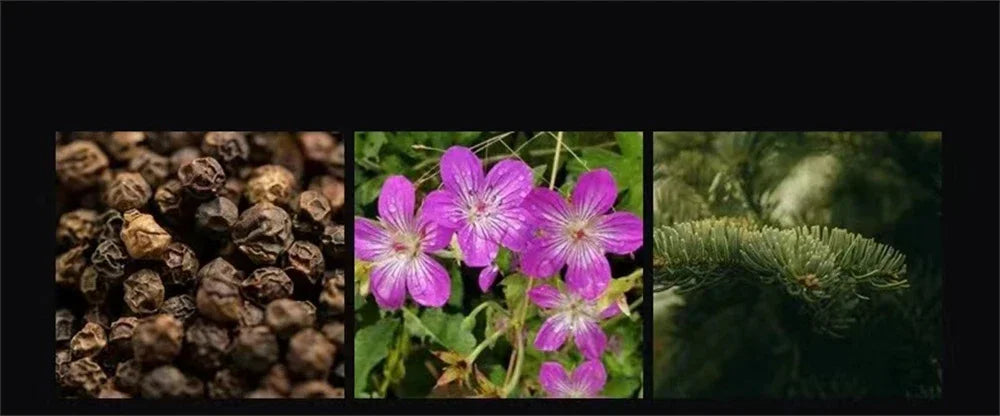 Coffret Parfum Homme Luxe - 4 Fragrances 100ml Cadeau Premium